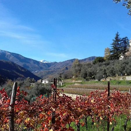 Agriturismo A Ca Du Paiperu Pieve di Teco المظهر الخارجي الصورة