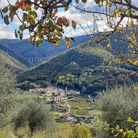 Agriturismo A Ca Du Paiperu Pieve di Teco المظهر الخارجي الصورة