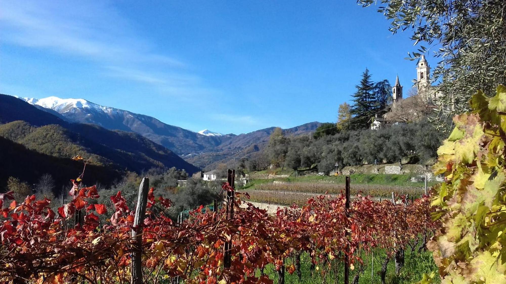 Agriturismo A Ca Du Paiperu Pieve di Teco المظهر الخارجي الصورة