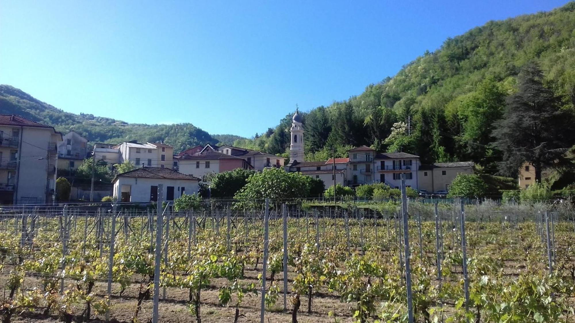 Agriturismo A Ca Du Paiperu Pieve di Teco المظهر الخارجي الصورة